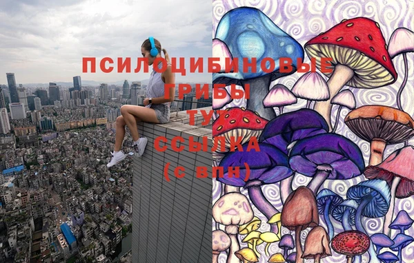 ПСИЛОЦИБИНОВЫЕ ГРИБЫ Абаза