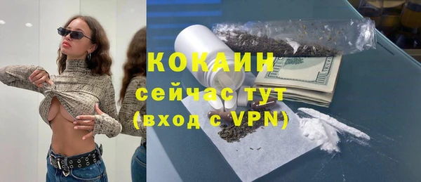 ПСИЛОЦИБИНОВЫЕ ГРИБЫ Абаза