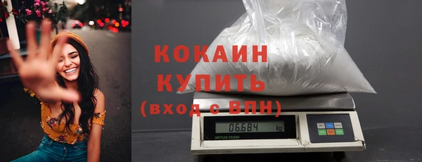ПСИЛОЦИБИНОВЫЕ ГРИБЫ Абаза