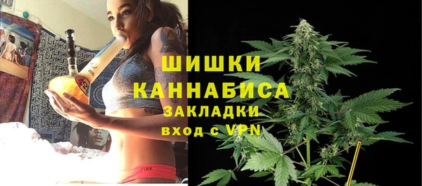 ПСИЛОЦИБИНОВЫЕ ГРИБЫ Абаза