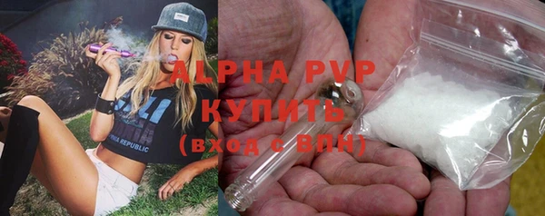 ПСИЛОЦИБИНОВЫЕ ГРИБЫ Абаза